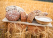 Biobrote von hello-bread.de