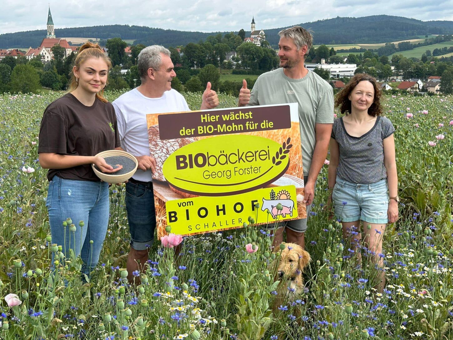 Bio-Mohn vom Biohof Schaller